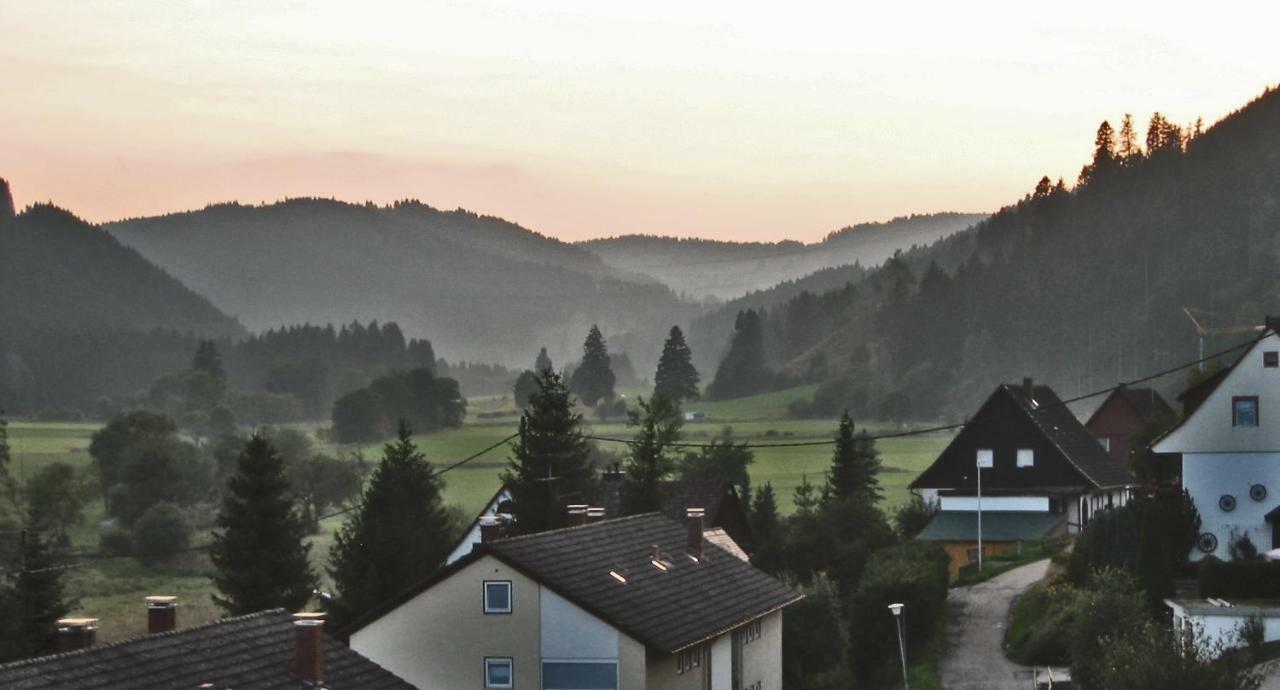 Urseetalblick Διαμέρισμα Lenzkirch Εξωτερικό φωτογραφία
